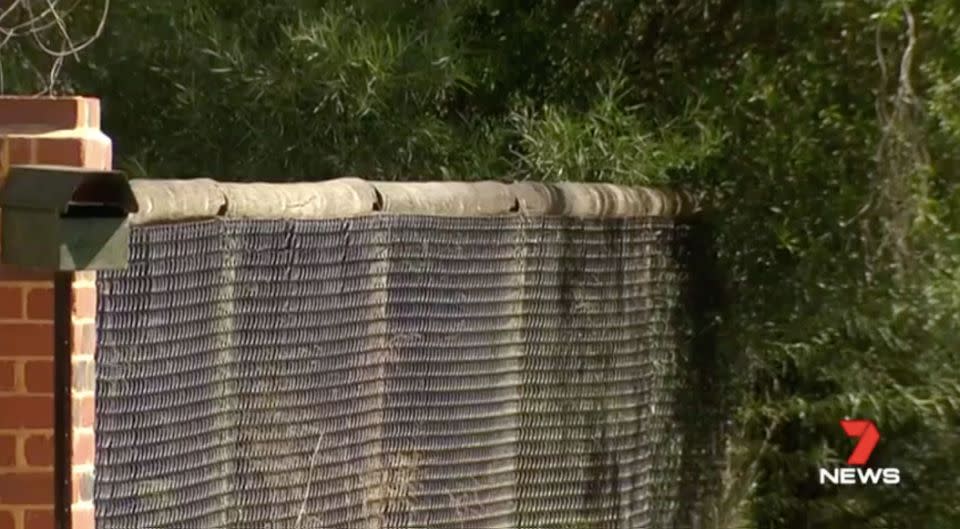 The intruder scaled the couple's fence. Source: 7 News