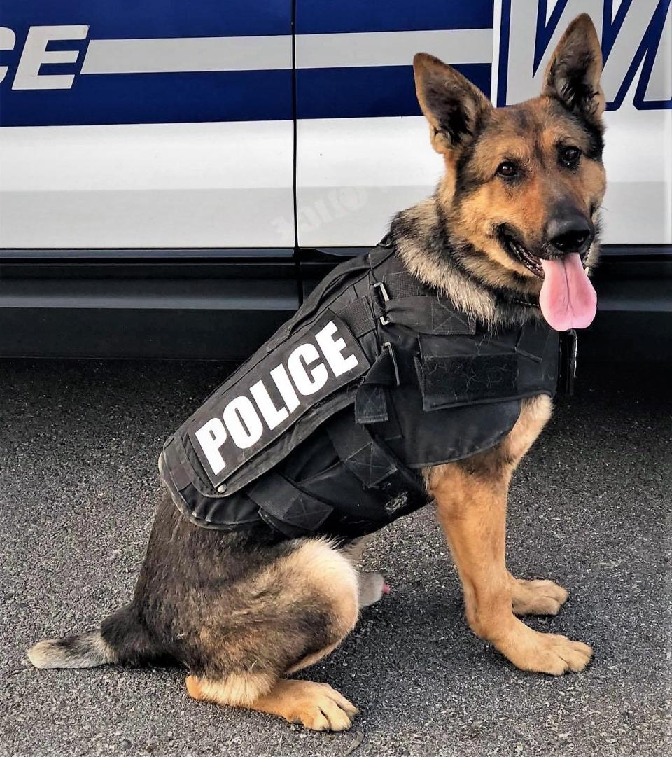 The Winchendon Police Department announced on its Facebook page the passing of the town’s first canine officer, Clyde.