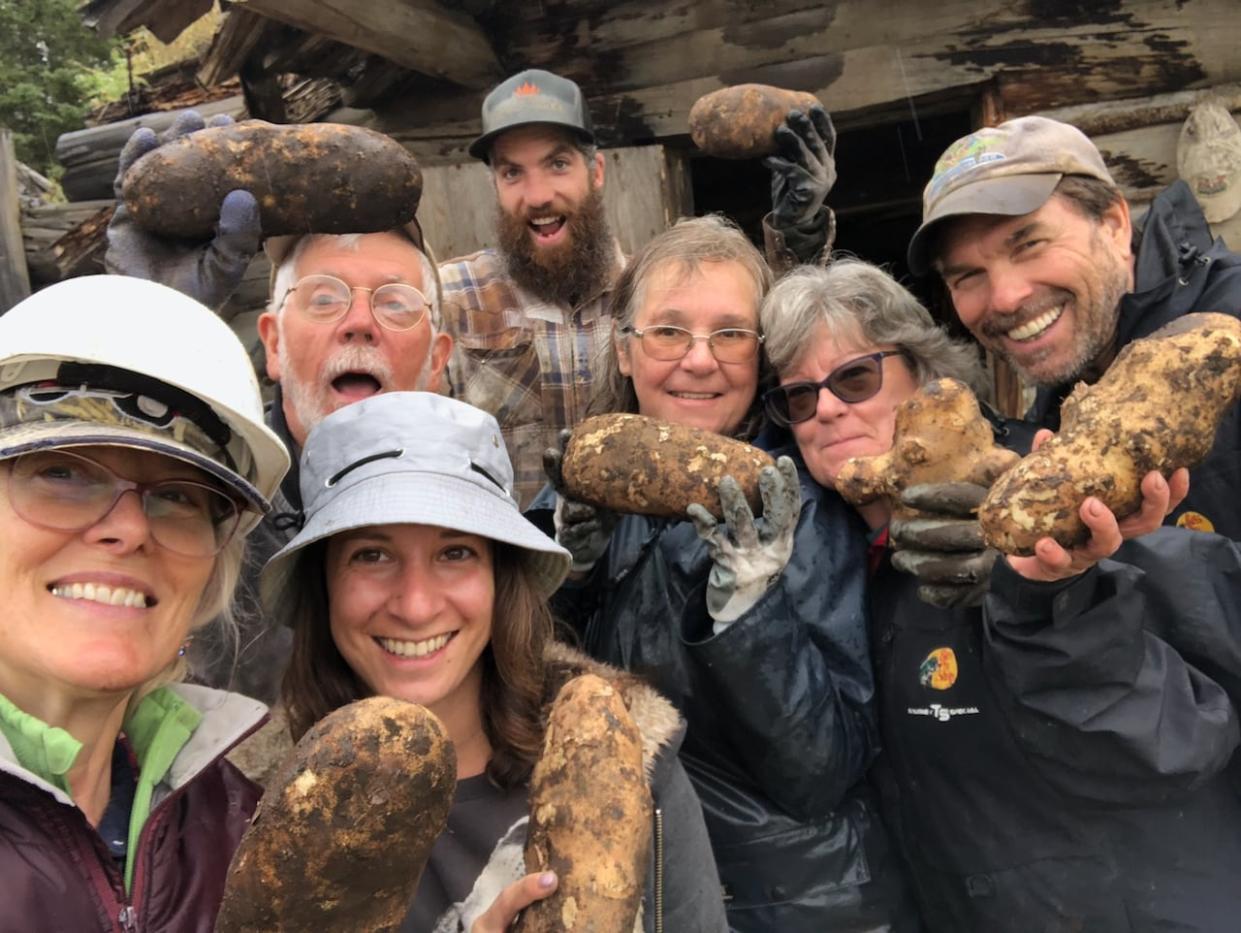 The Cariboo potato is not allowed to be grown for commercial use. Federal authorities have threatened the small Horse Lake Community Farm Co-Op, located 115 kilometres north of Kamloops, with a $10,000 fine. (Submitted by the Horse Lake Community Farm Co-Op - image credit)