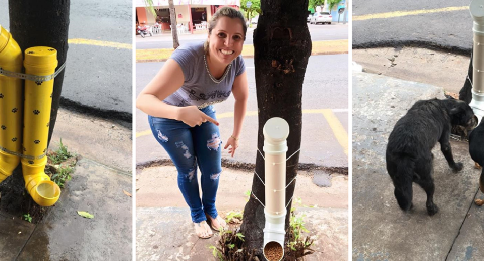 El ingenioso invento para alimentar a perros de la calle que se volvió mega viral. Foto: Twitter.com/Telefe