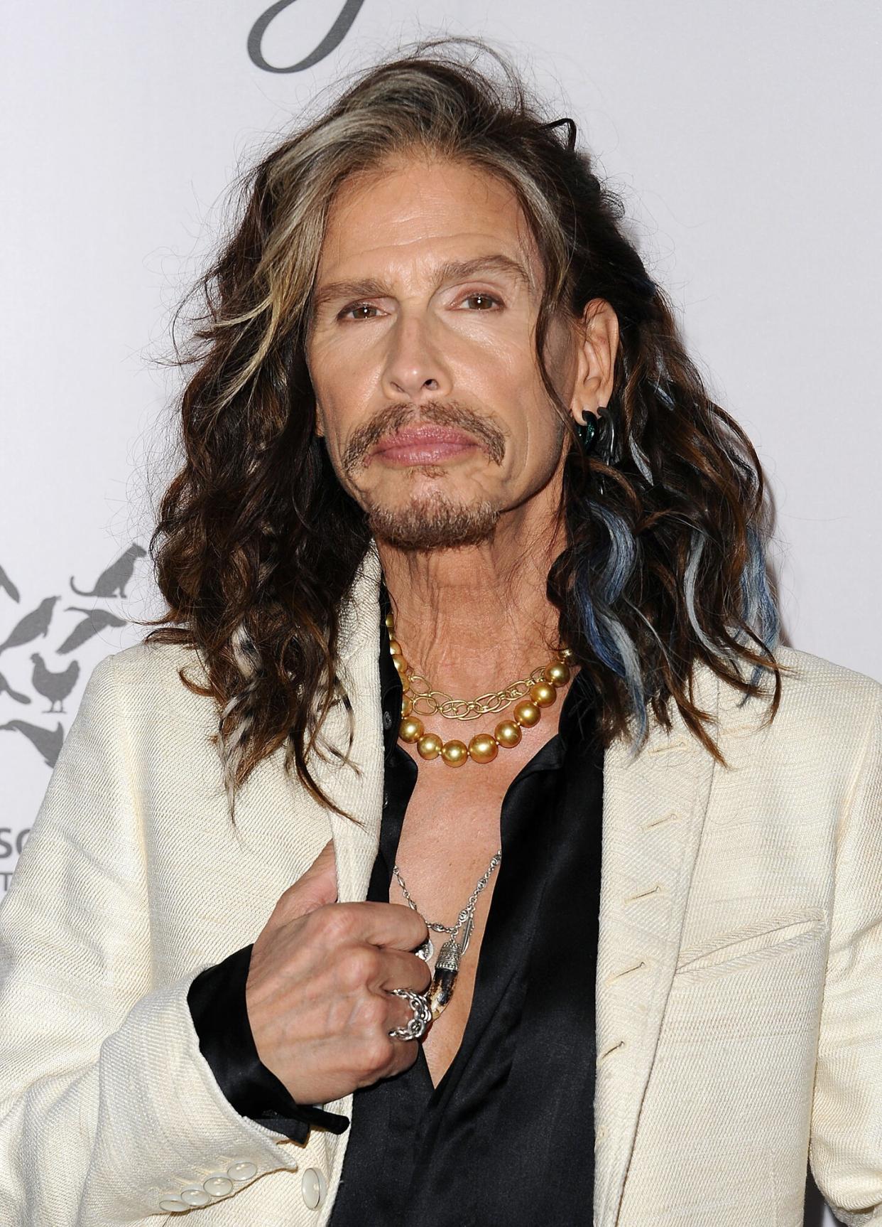 Steven Tyler attends The Humane Society of The United States' To The Rescue gala at Paramount Studios on May 07, 2016 in Hollywood, California.