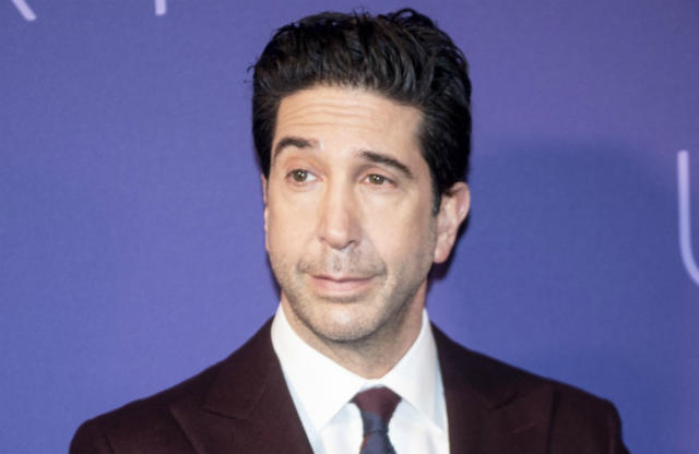 Friends star David Schwimmer supported by ex-wife following