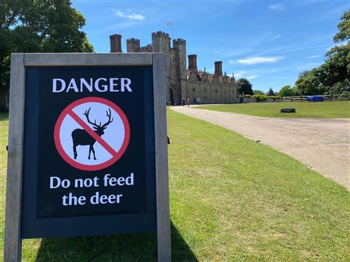 公園立告示牌警告遊客勿餵食。（圖／翻攝自Knole - National Trust臉書）
