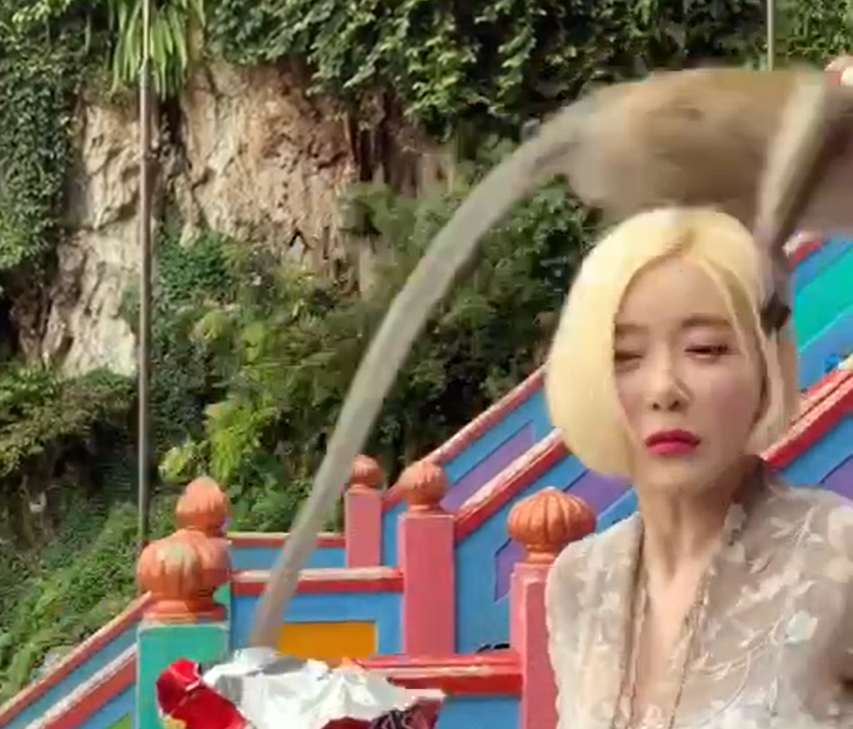 A naughty monkey plays around with South Korean DJ Soda at Batu Caves. – Picture via Instagram/deejaysoda