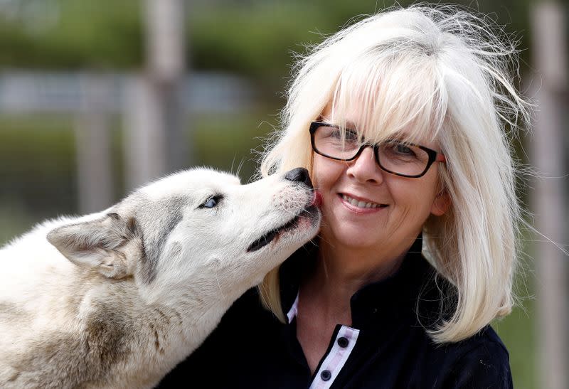 Siberian Husky breeder Christine Biddlecombe receives a lick from one of her dogs at her home, in Tonbridge