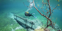 A scuba diver explores the ethereal underwater environment.