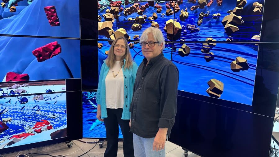 Wife and husband pair Francesa Samsel and Greg Abram help scientists bring their work off the spreadsheet at the Texas Advanced Computing Center in North Austin. (Credit: Eric Henrikson/KXAN)