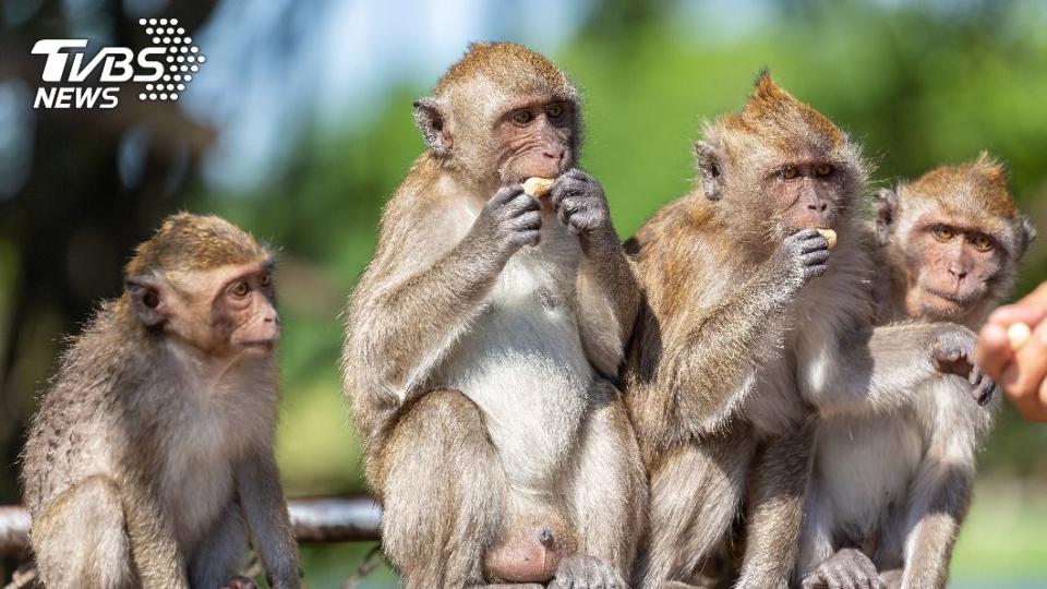 （示意圖／shutterstock達志影像）