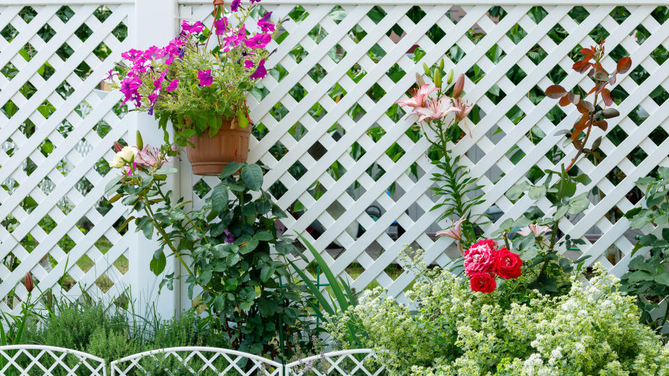 2. Paint your front yard fence