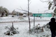 <p>SALTILLO, Coah. Weather/Clima-Coahuila.- La entidad amanece con nieve en distintas zonas, tras el paso del frente frío número 14, 8 de diciembre de 2017. Foto: Agencia EL UNIVERSAL/JMA </p>