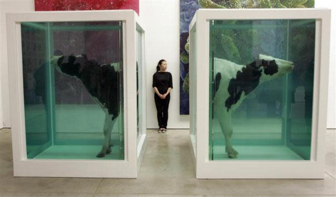 A visitor views 'Love's Paradox' - a cow in formaldehyde - at a new exhibition by British artist Damien Hirst in central London June 1, 2007.