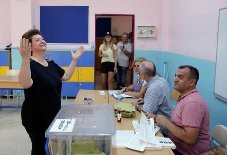 Istanbul votes in mayoral re-run