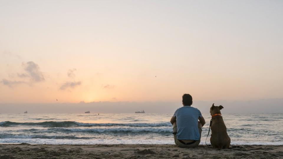 Persona en la playa con perro