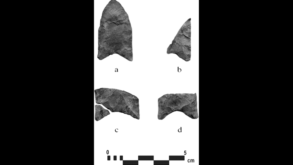 Sharpened stone tools examined by researchers