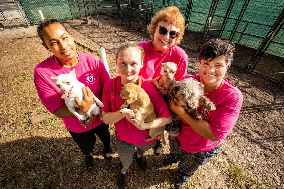 Stefanie Badillo , right owner of Crossed Paws Pet Rescue and her staff l-r Francis Aponte,  Laci Brooks , Mariann Motola with some of their rescue dogs at the shelter in Winter Haven.
ERNST PETERS/ THE LEDGER