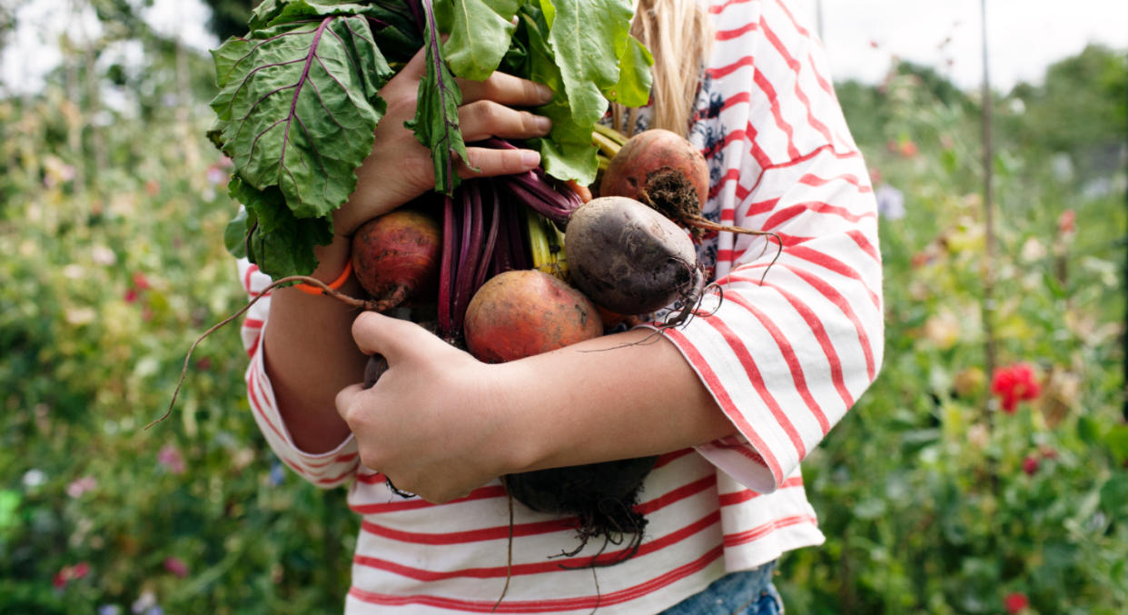 According to research, there’s a 29 per cent increase in millennials enjoying gardening. [Photo: Getty]