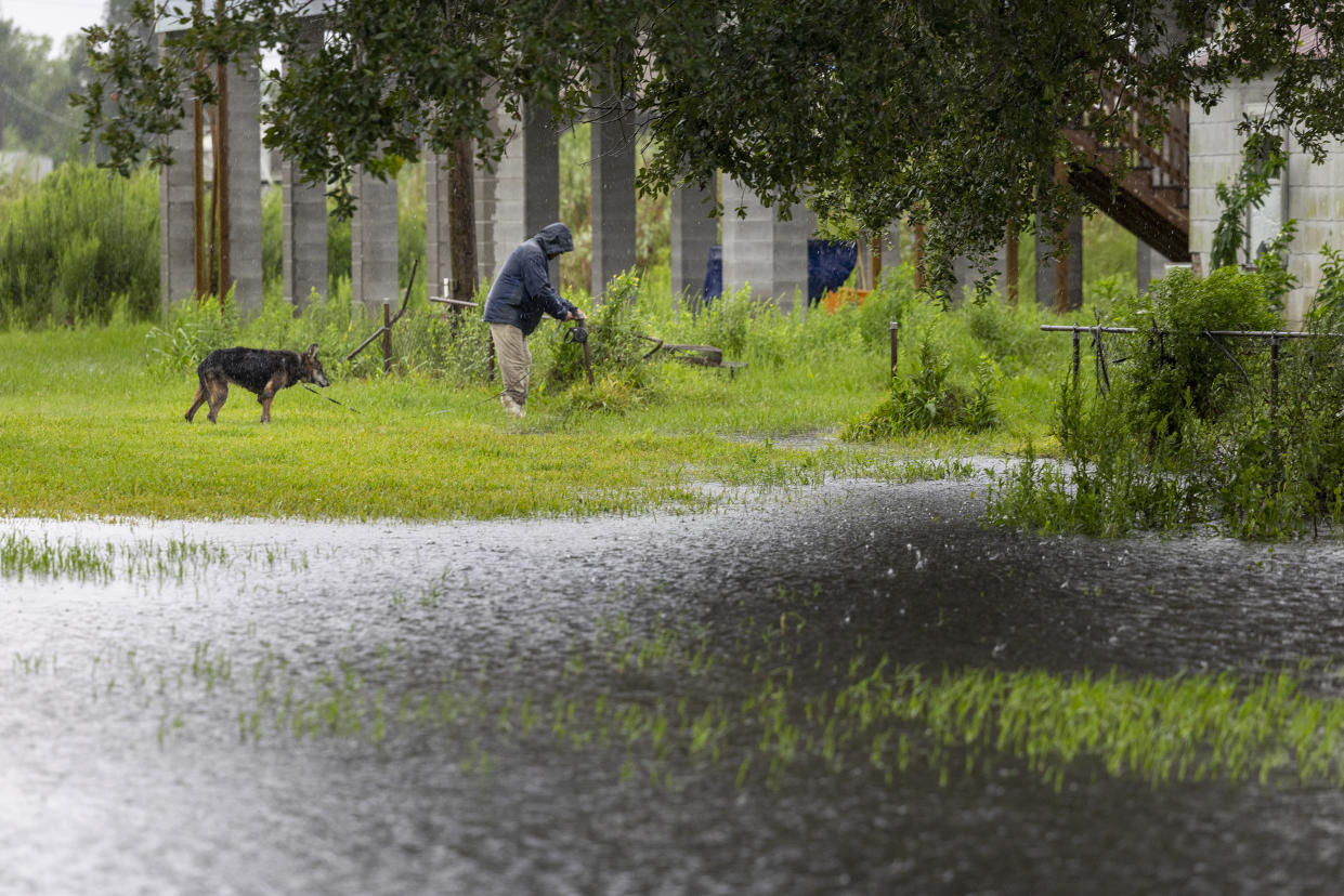 A resident of Dulac walks his dog around rising water as the outer edges of Hurricane Francine arrive along the Louisiana coast on Wednesday, Sept.11, 2024. (Chris Granger/The New Orleans Advocate via AP)