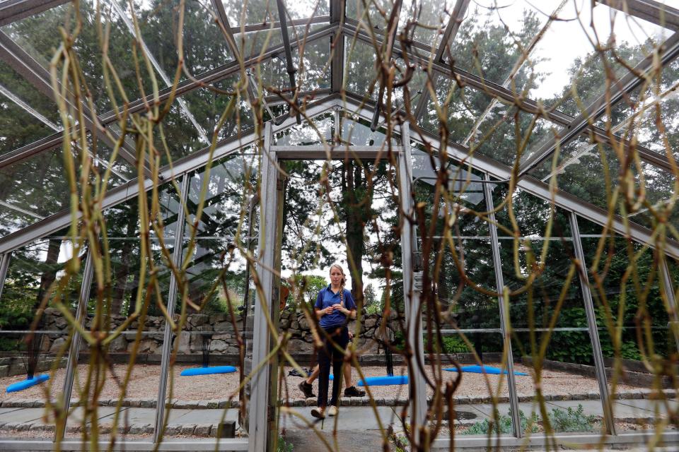 Artist Dena Haden installs her piece Every Knot Forever Unraveling the Transparent Walls Between Us inside the Haskell Gardens greenhouse as part of the Maps and Legends show.