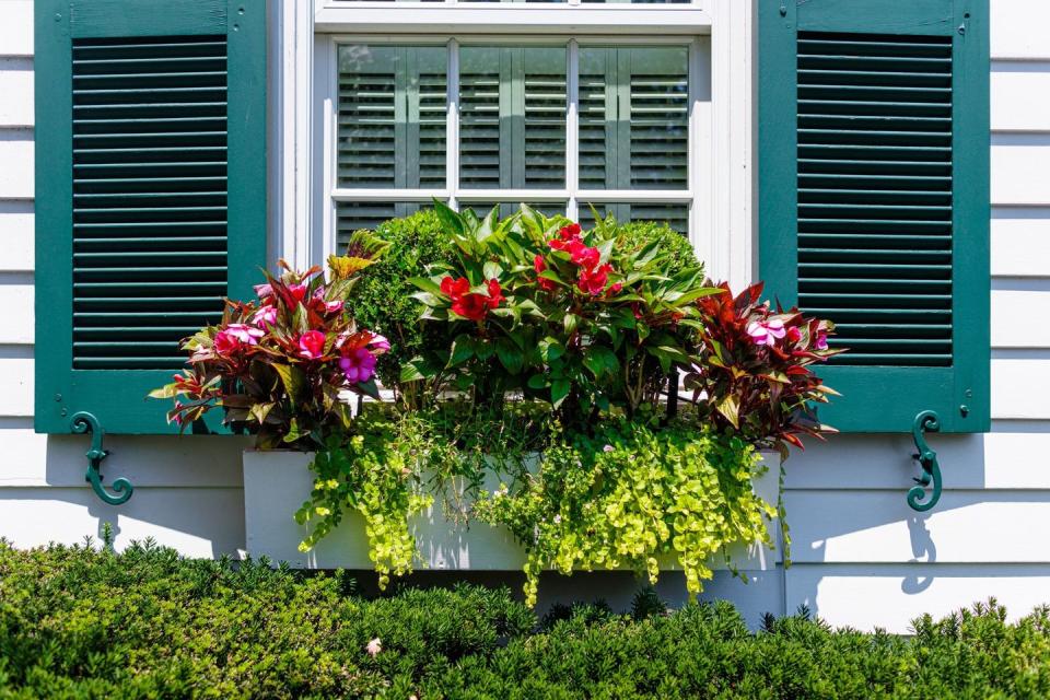 flower bed ideas window box