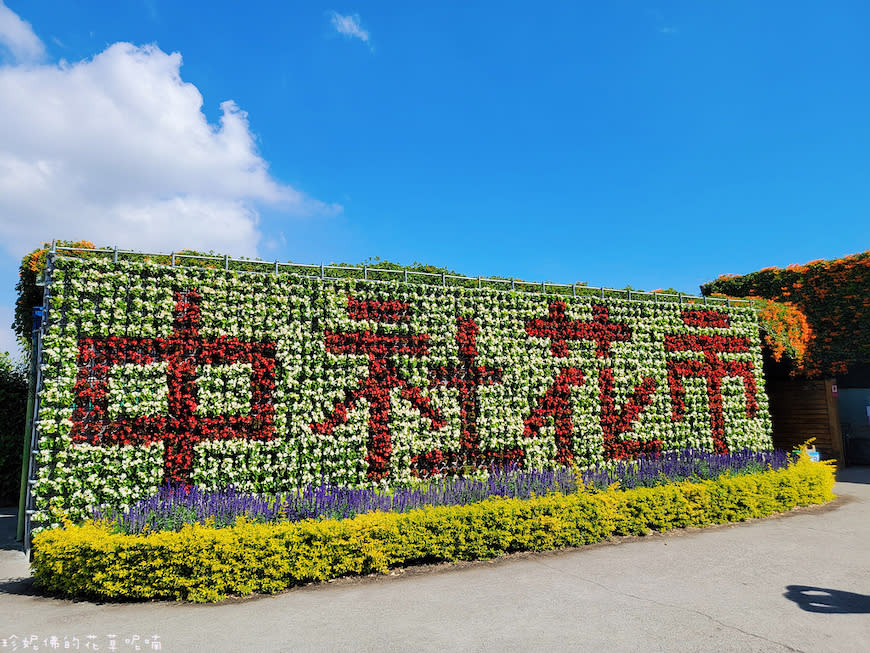 台中后里｜中社觀光花市