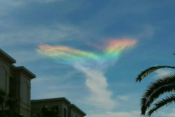 MANDATORY CREDIT: Tiffany Jenks/REX Shutterstock. Only for use in this story. Editorial Use Only. No books, advertising or merchandising without photographer's permission Mandatory Credit: Photo by Tiffany Jenks/REX Shutterstock (4974062a) Rare fire rainbow dazzles viewers in South Carolina Rare fire rainbow over Charleston, America  - 19 Aug 2015 FULL COPY: http://www.rexfeatures.com/nanolink/qufm  An extremely rare 'fire rainbow' has been spotted in the sky in Charleston, America today last Sunday 16 August.  The rainbow, which is shaped like a fire-dancer, remained in the sky for a matter of minutes, dazzling viewers before disappearing.  The display only occurs when the sun is at an angle higher than 58 degrees.  It is known as a 'Circumhorizontal Arc' and occurs when light hits sky-high ice crystals. 