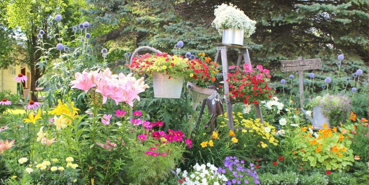 Old Coffee Pot Upcycled As A Flower Pot - Organized Clutter