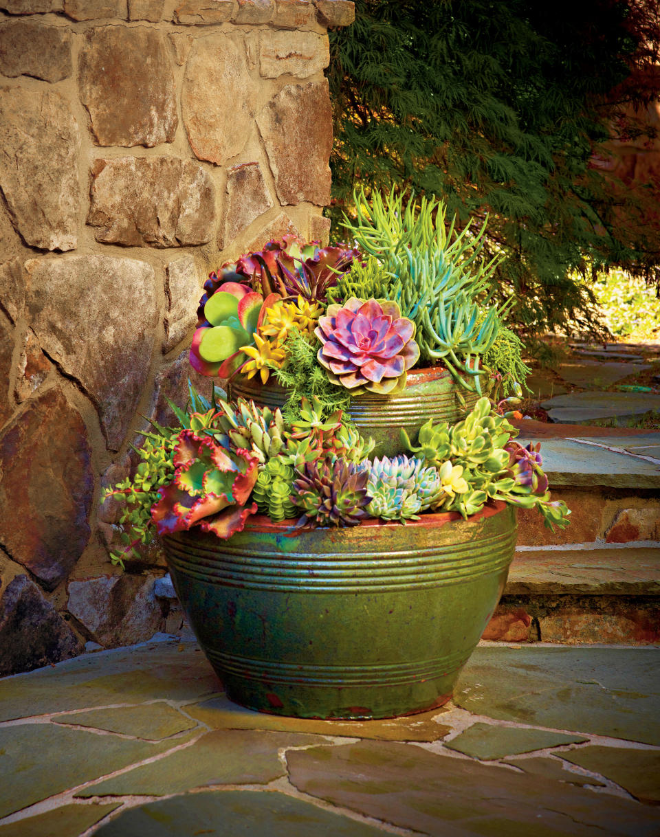 Stack Your Pots with Succulents