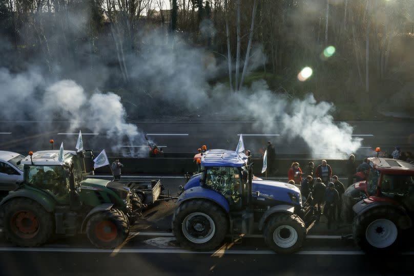 Durch lautes Hupen und Rauch machten die Landwirte auf Ihre Forderungen aufmerksam.