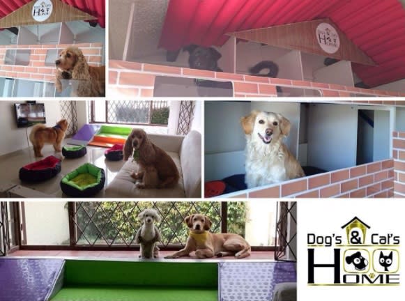 <p>Este hotel para mascotas se ubica en Bogotá (Colombia) y cuenta con multiservicios para el confort de los cuadrúpedos caninos y felinos. </p>
