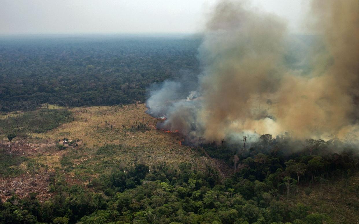 An image released by Greenpeace showing a patch of forest being cleared with fire in the municipality of Candeias do Jamari in Rondonia State, northwestern Brazil - AFP