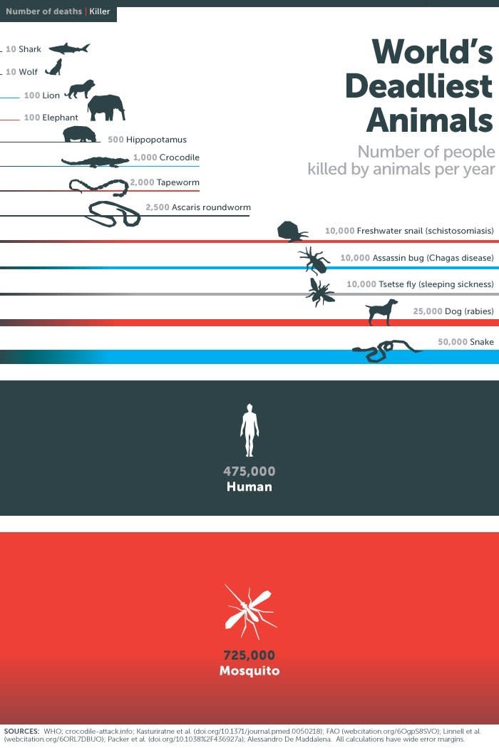 grafik gates tiere killer