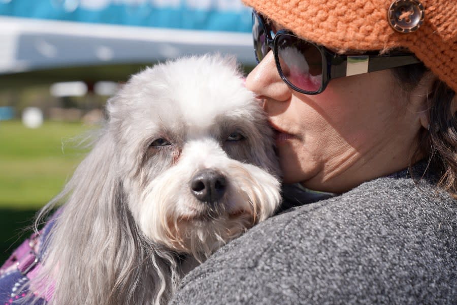 Pet lovers come together to celebrate their passion for animals while raising vital funds for San Diego Humane Society. (Photo: San Diego Humane Society)