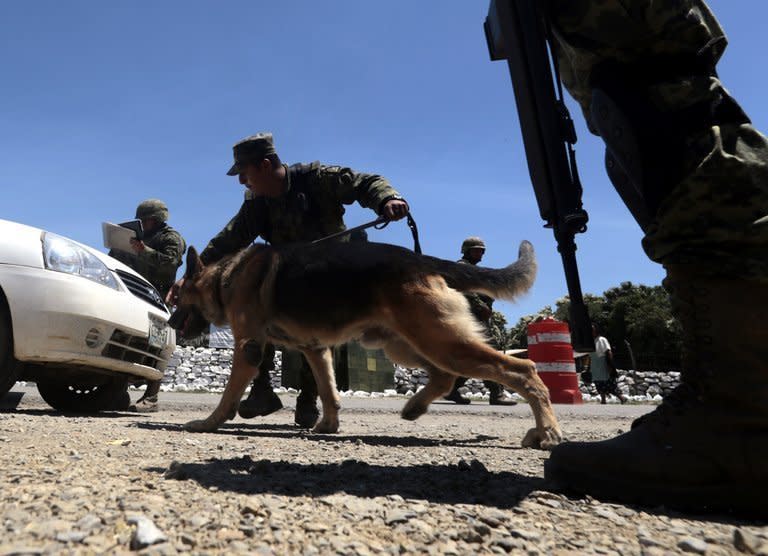 Mexican soldiers inspect a vehicle at a checkpoint on the road to Tlacotepec in Eduardo Neri municipality, Mexico, on August 2, 2013. The leader of the Gulf cartel was transferred Sunday to Mexico City for questioning after his capture near the northern border with the United States