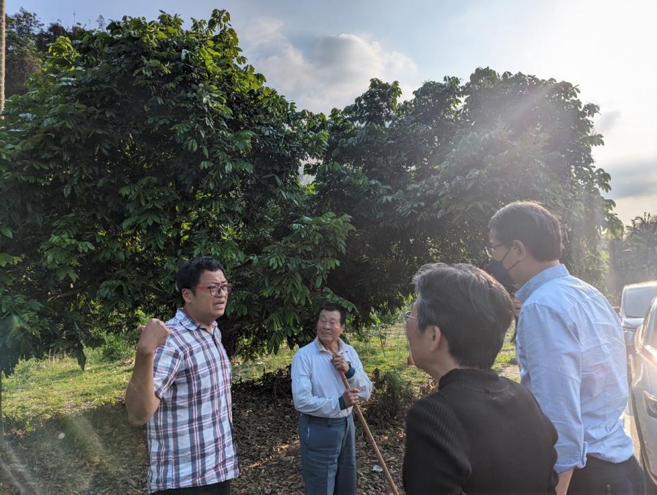 立委劉建國(右1)會同農糧署官員前往因高溫影響開花授粉的荔枝、龍眼果園勘查。(記者張欽翻攝)