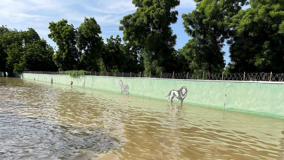 The flooded yard of Sanda Kyarimi Park Zoo is pictured in Maiduguri on September 10, 2024. - Ahmed Kingimi/Reuters