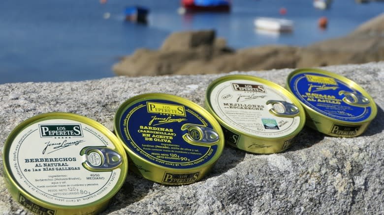 Tinned fish on a rock