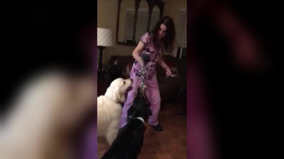 Home video of Susann Sills playing tug-of-war with family dogs Buddy, left, and Annabelle. / Credit: Orange County Superior Court