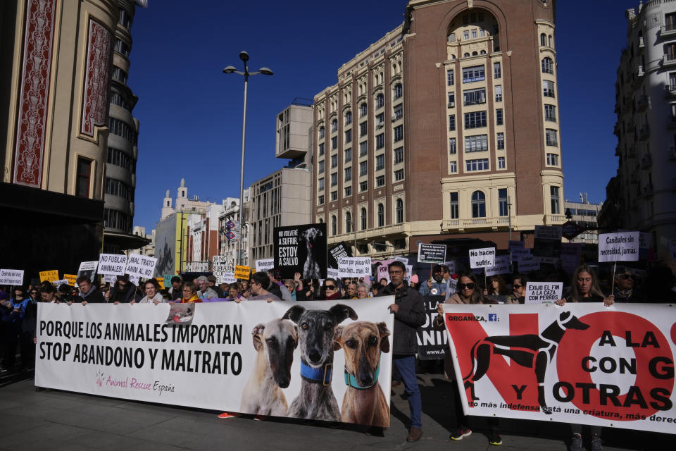 People protest against the exclusion of some animals in the new animal protection law, Madrid, Spain, Sunday, Feb. 5, 2023. PACMA, the animal welfare party, has asked the government to reconsider and include all the animals that it has left out in the new law such as animals used for hunting grazing, rescue and animals used for transport etc. Main banner on left reads 'It's because we care about animals. Stop abandoning and mistreating them'.(AP Photo/Paul White)