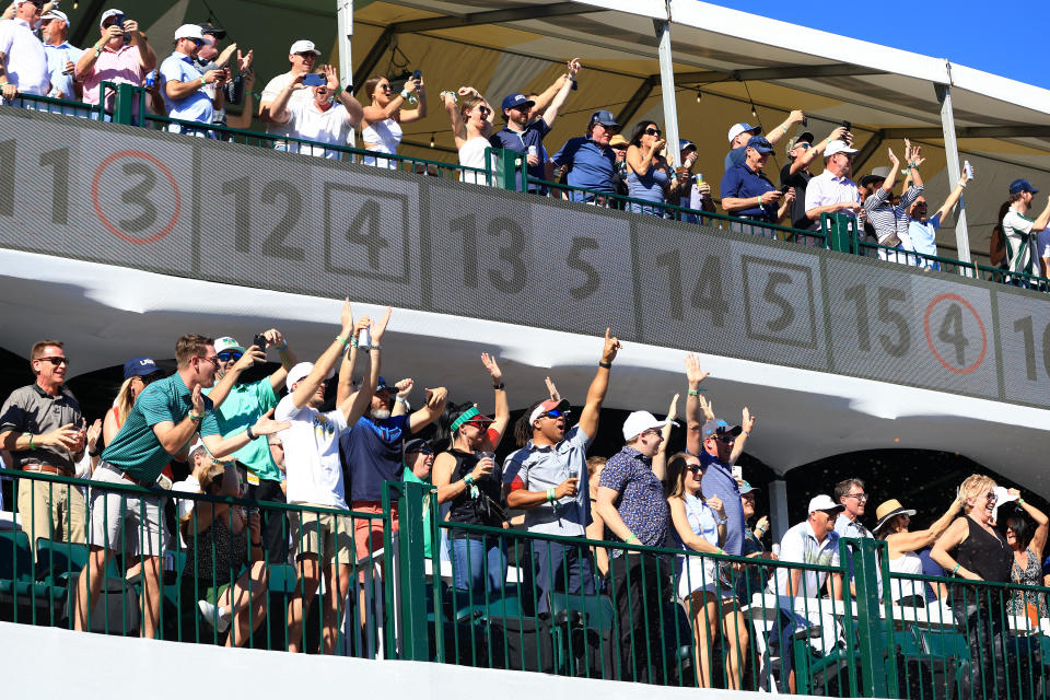 Fans, pictured here going absolutely bonkers after Sam Ryder's hole-in-one at the Phoenix Open.