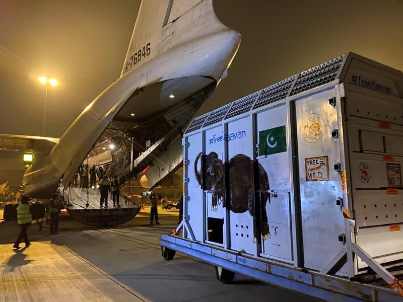 A crate carrying Kaavan, an elephant to be transported to a sanctuary in Cambodia, is seen at the Islamabad International Airport in Islamabad