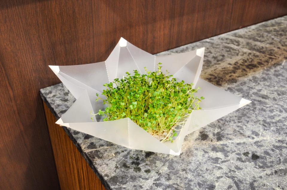 The Microgarden can grow veggies on your countertop.