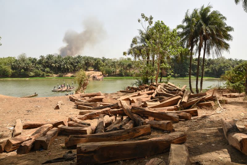 Piles of rosewood are seen next to a river outside the town of Kamakwie