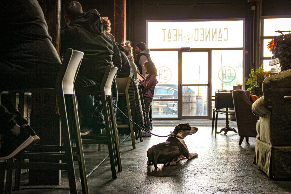 A dog named Charlie sits in the taproom at Canned Heat Craft Beer on Ferry Street in Fall River on Sunday, Feb. 25.