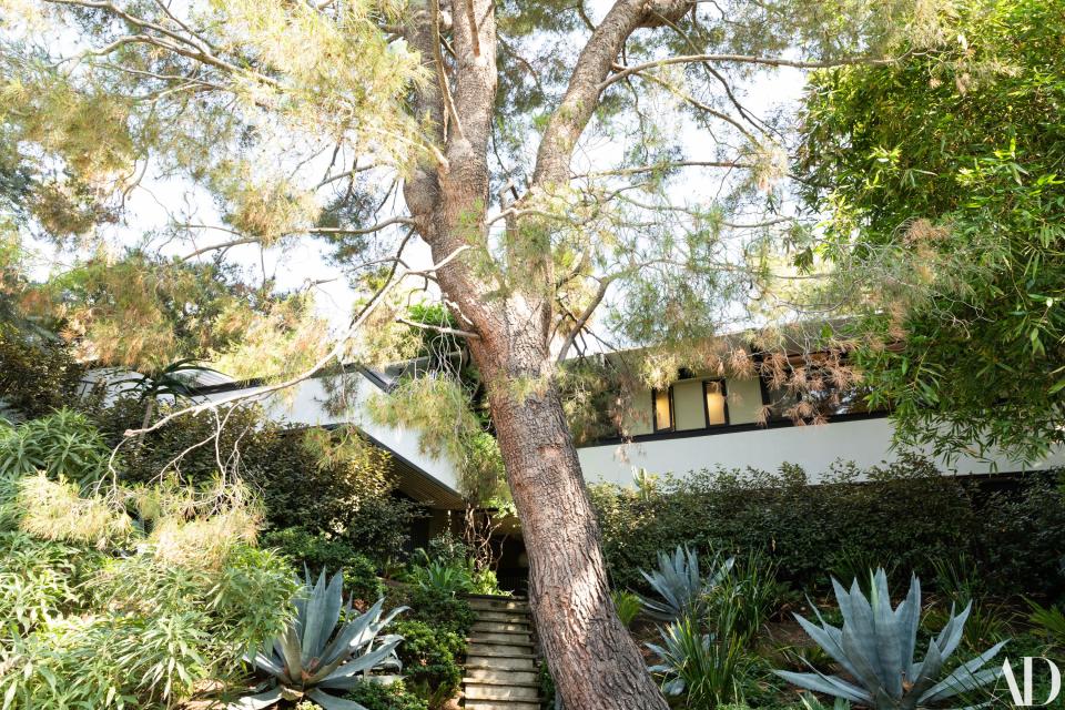 “When you walk in up the steps there’s a big concrete ramp with plants in it, which reminded me of the Barbican in London,” says Macklovitch. “The kind of juxtaposition between slabs of concrete and plants, wildlife. I had never seen that in Los Angeles, or at least not much of it. When you do see a lot of concrete, like in some John Lautner houses, it’s almost more of a ‘70s futuristic thing, and this is really a ‘50s midcentury house but it’s got all these concrete accents.”