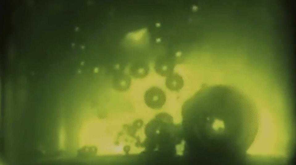 several dozen small, dark bubbles float in greenish oil