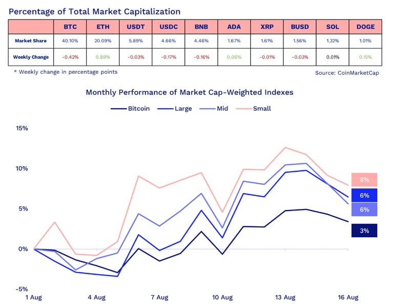 Percentage of total market capitalization and monthly performance of market cap-weighted indexes (CoinMarketCap)