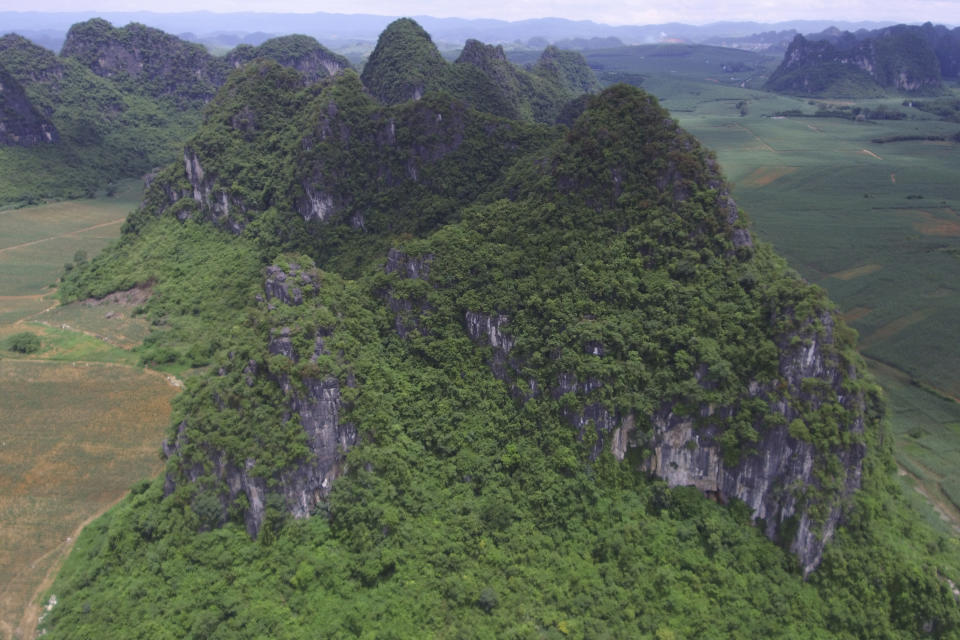 This photo provided by researchers shows a mountain where fossils of Gigantopithcus blacki were found in caves in the Guangxi region of southern China. The extinct species of great ape that once stood around 10 feet tall and weighed up to 650 pounds was likely driven to extinction by environmental changes, scientists in China and Australia report on Wednesday, Jan. 10, 2024 in the journal Nature. (Yingqi Zhang/IVPP- CAS via AP)