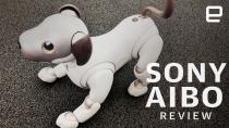Sony's original Aibo robotic dog blew the public's collective mind when itdebuted in 1999, instantly becoming a cultural touchstone and commanding arabidly loyal fan base