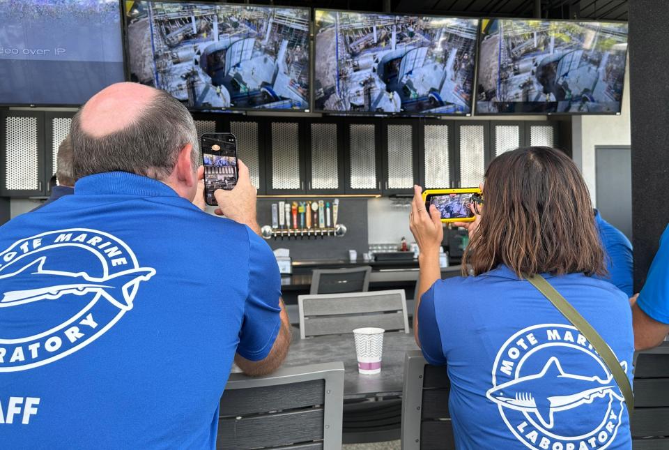 Mote Marine staff, Curt Slocum, Curator of Fish & Invertebrates, left, and Amanda Foltz, Curator of Mammals & Reptiles, watch video from a drone as a large piece of acrylic for the 400,000-gallon, Gulf of Mexico exhibit is installed at the Mote SEA construction site at University Town Center. The acrylic aquarium window measures 26 feet long, 17 feet high and 11 inches thick, and weighs 27,900 pounds.