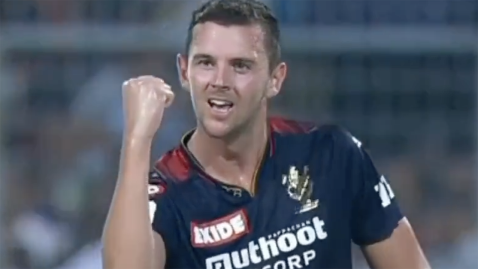 Josh Hazlewood pumps his fist after taking a wicket in the IPL.